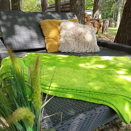 Waldesruh In Idyllischer Lage, Erholung Pur Apartman Oppach